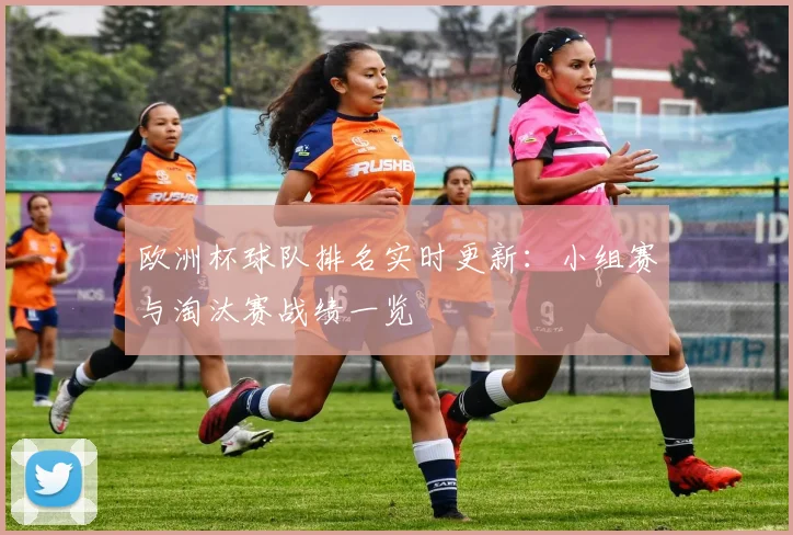 欧洲杯球队排名实时更新:小组赛与淘汰赛战绩一览