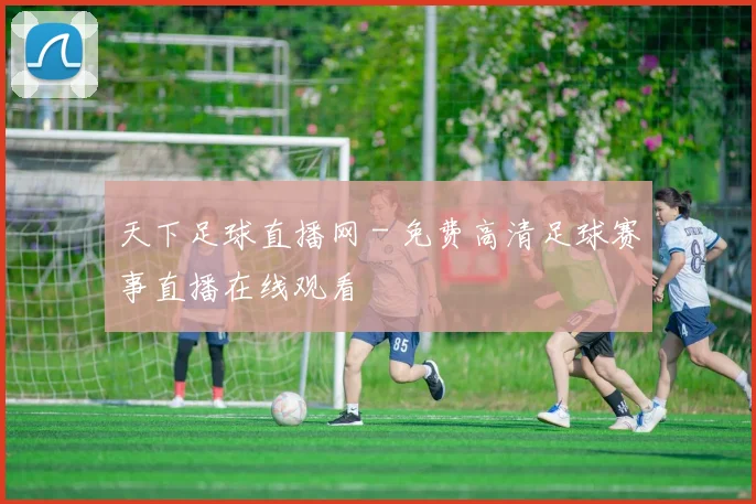 天下足球直播网 - 免费高清足球赛事直播在线观看